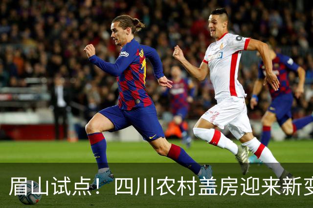 眉山试点！四川农村盖房迎来新变化！